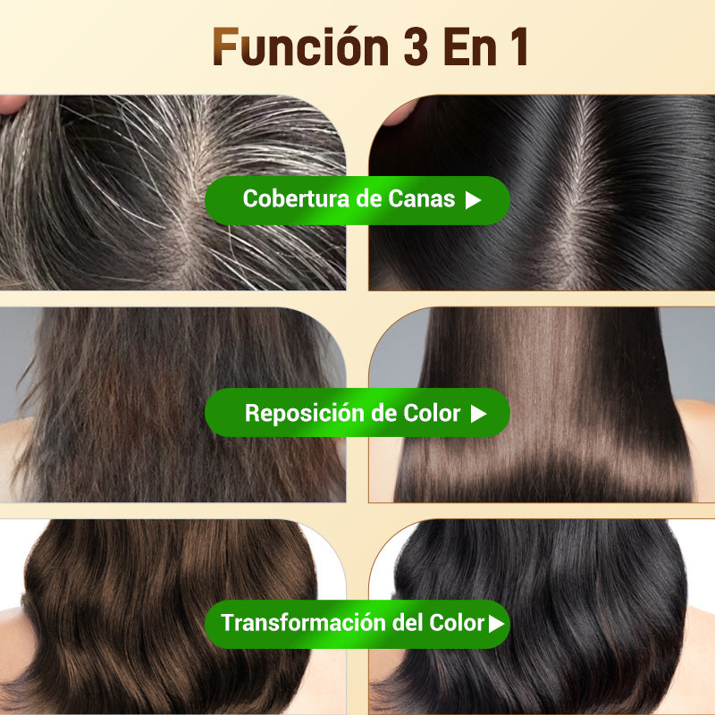 Coloración capilar nutritiva a base de plantas