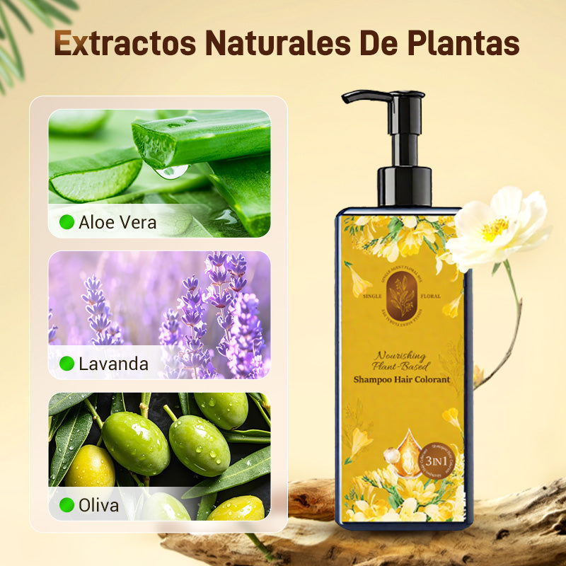Coloración capilar nutritiva a base de plantas