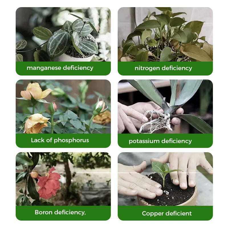 🔥Polvo de enraizamiento y floración rápidos - Compra 3 Llévate 2 Gratis