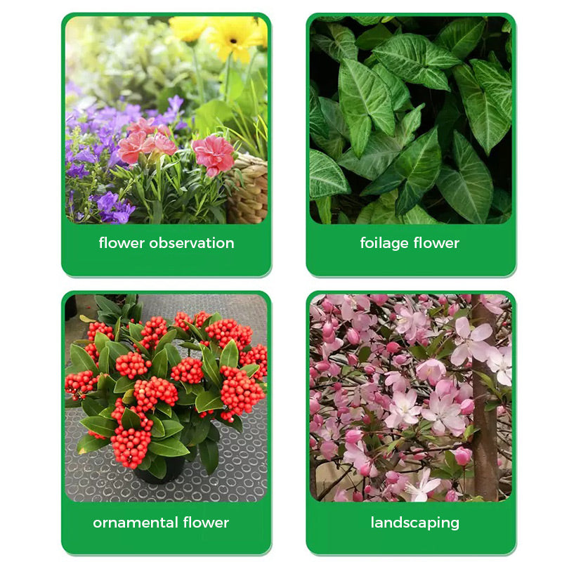 🔥Polvo de enraizamiento y floración rápidos - Compra 3 Llévate 2 Gratis