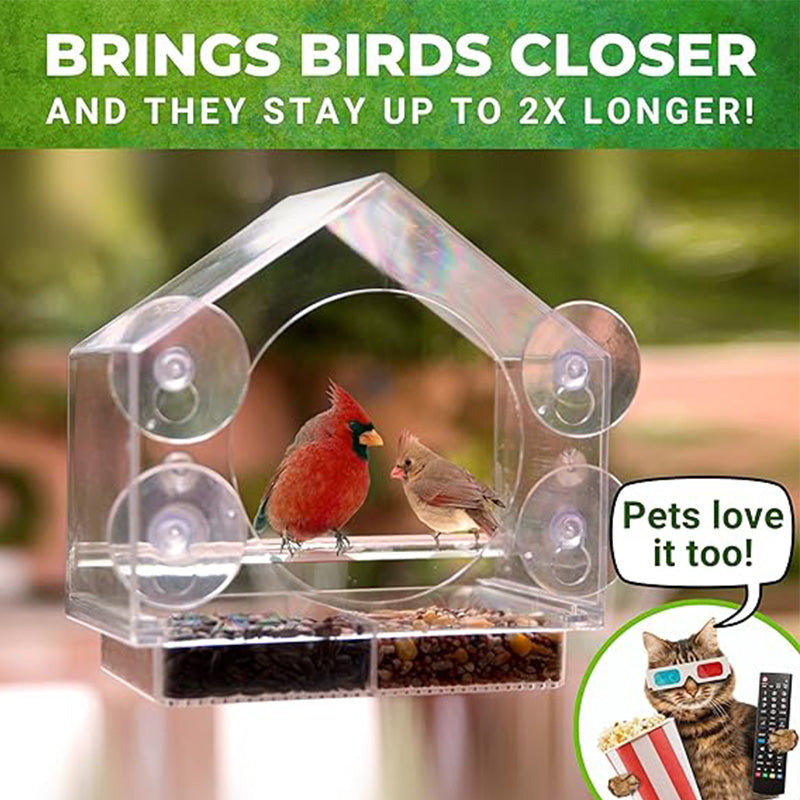 Comedero para Pájaros con Ventana de Acrílico Transparente