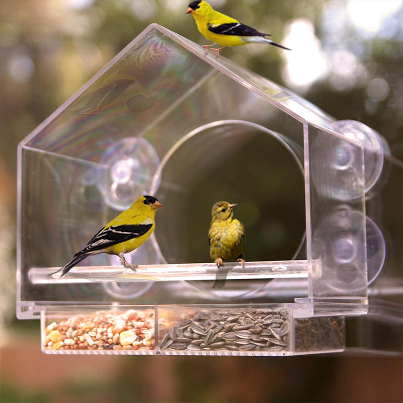 Comedero para Pájaros con Ventana de Acrílico Transparente
