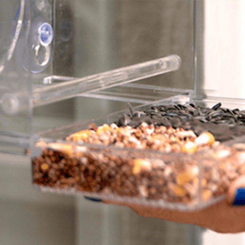 Comedero para Pájaros con Ventana de Acrílico Transparente