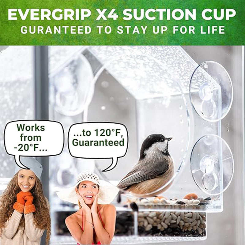 Comedero para Pájaros con Ventana de Acrílico Transparente