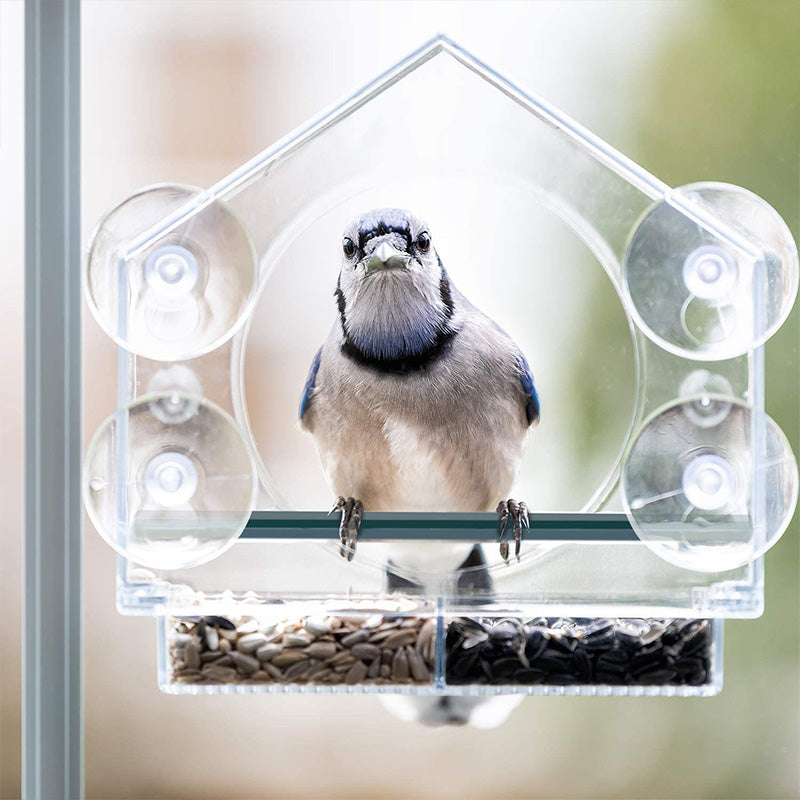 Comedero para Pájaros con Ventana de Acrílico Transparente