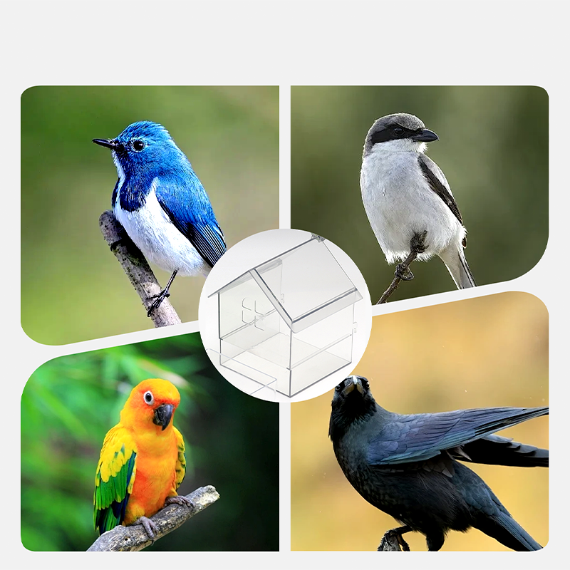🐦🔥 50 % DE DESCUENTO – Comedero externo extraíble para loro ✨