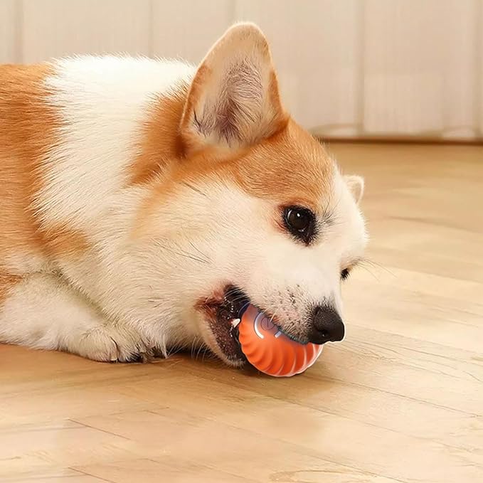 🎁Bola automática para perros inteligentes🐶