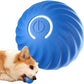 🎁Bola automática para perros inteligentes🐶