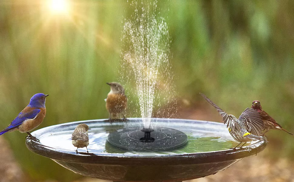 ¿Jardín sin vida y sin enchufes? Energía solar, agua en movimiento, magia al instante. 🌞💧