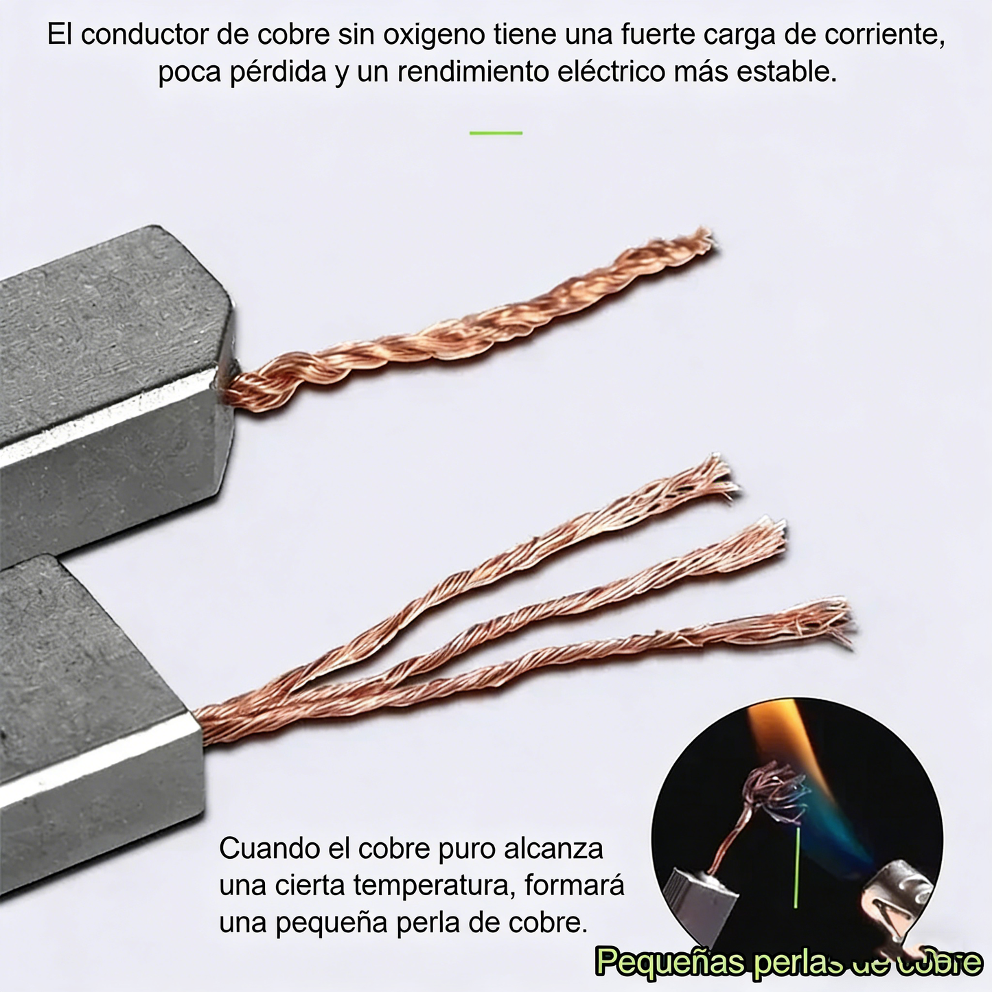 ⚙️🔧 Juego de Escobillas de Carbón para Herramientas Eléctricas – Compatibles y Duraderas | ¡Compra Más y Ahorra Más! 💥💰