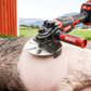 Disco raspador para eliminar el pelo de cerdo que ahorra esfuerzo