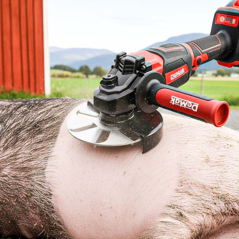 Disco raspador para eliminar el pelo de cerdo que ahorra esfuerzo