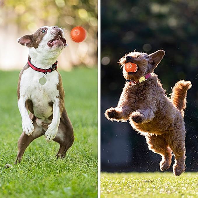 🎁Bola automática para perros inteligentes🐶
