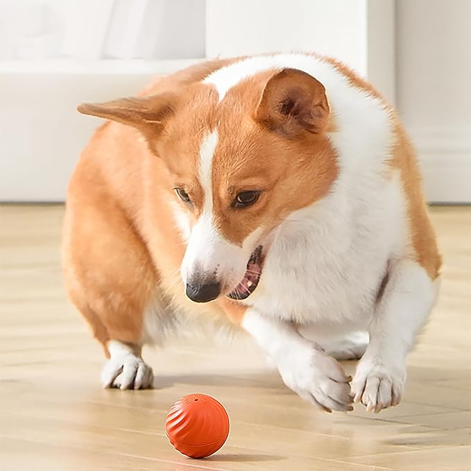🎁Bola automática para perros inteligentes🐶
