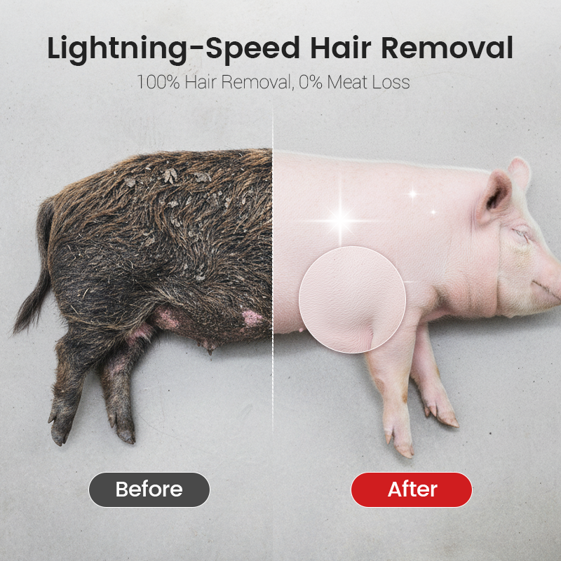 Disco raspador para eliminar el pelo de cerdo que ahorra esfuerzo