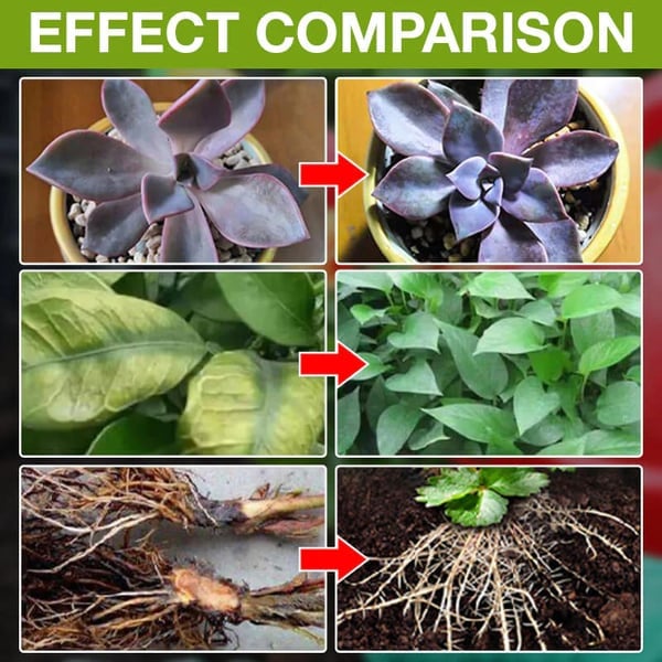 🔥Compra 2 y llévate 1 gratis (3 unidades)🔥 Solución nutritiva para plantas