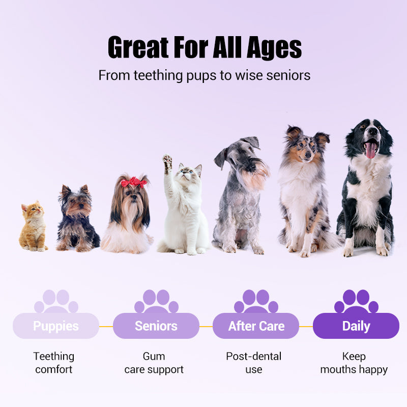 🔥 ÚLTIMO DÍA - COMPRA 1 Y LLÉVATE 1 GRATIS 🔥 Cepillo de dientes en gel reparador bucal para mascotas 🐱🐶