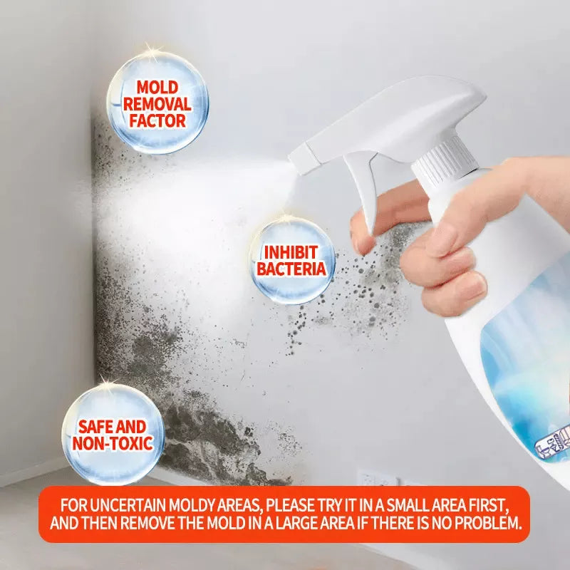 🔥Spray antimoho de alta eficacia (Oferta 2026) - Previene su reaparición🔥