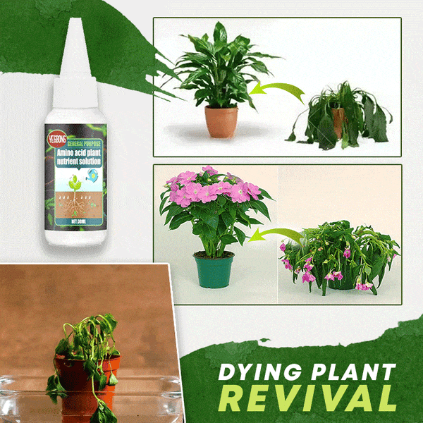 🔥Compra 2 y llévate 1 gratis (3 unidades)🔥 Solución nutritiva para plantas
