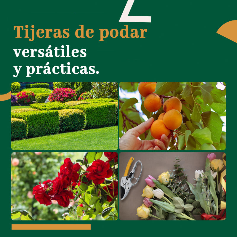 Tijeras de podar que ahorran trabajo en jardinería