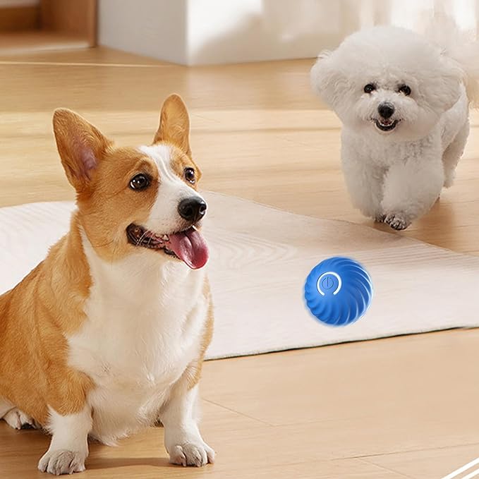 🎁Bola automática para perros inteligentes🐶