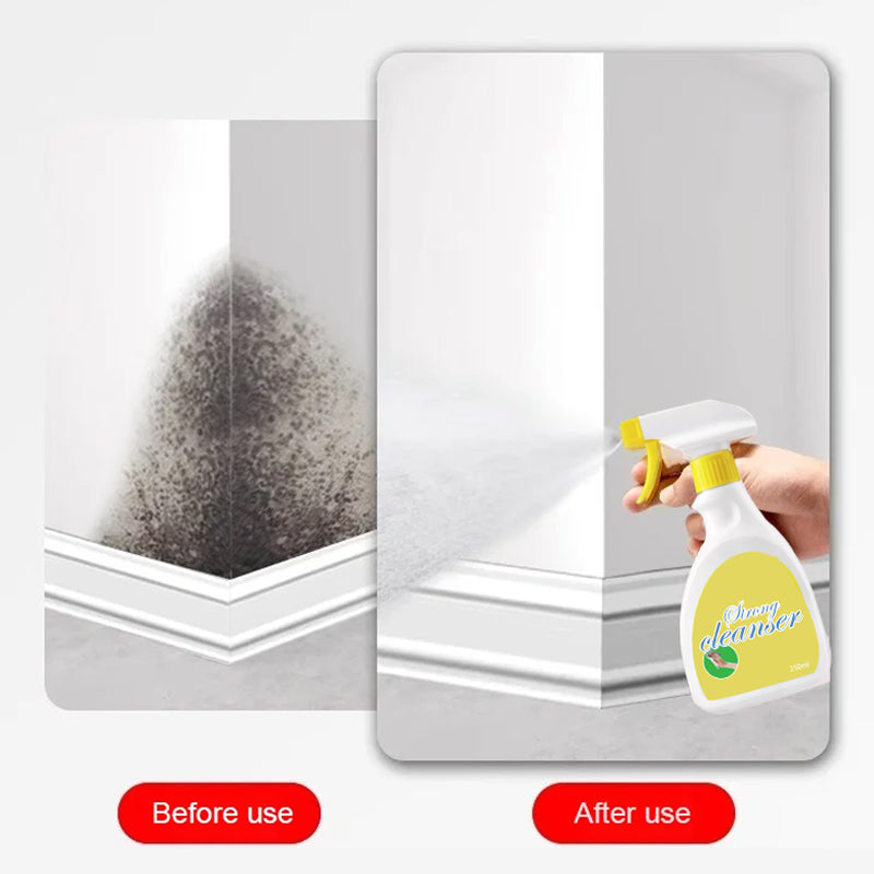 🔥Limpieza Doméstica First Choice👍Bright As New Wall Spray para eliminar moho