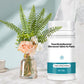 Potentes comprimidos efervescentes antibacterianos para flores