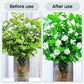 Potentes comprimidos efervescentes antibacterianos para flores