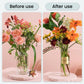 Potentes comprimidos efervescentes antibacterianos para flores