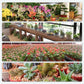Potentes comprimidos efervescentes antibacterianos para flores
