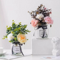 Potentes comprimidos efervescentes antibacterianos para flores