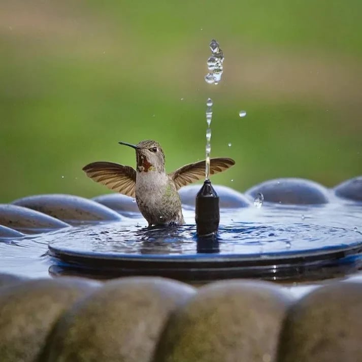 ¿Jardín sin vida y sin enchufes? Energía solar, agua en movimiento, magia al instante. 🌞💧