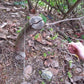 Sierra de alambre de acero inoxidable para equipo de supervivencia