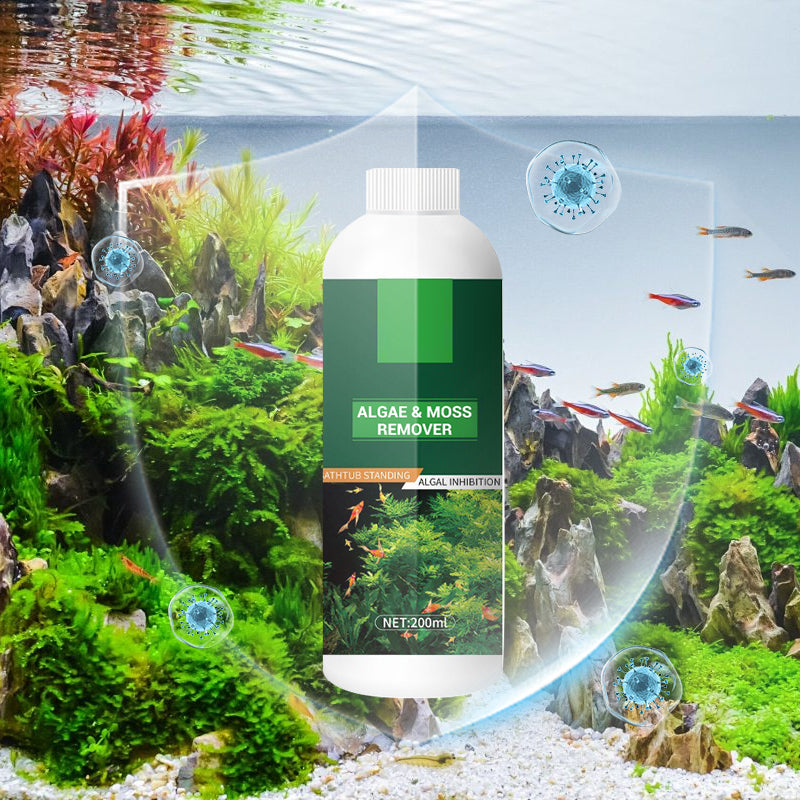 🎉Compra Más Ahorra Más💥 Removedor de algas y musgo para pecera - Purificación segura del agua.