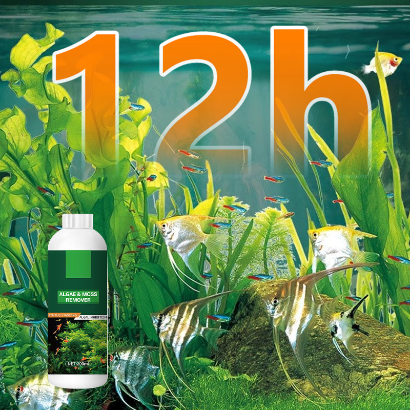 🎉Compra Más Ahorra Más💥 Removedor de algas y musgo para pecera - Purificación segura del agua.
