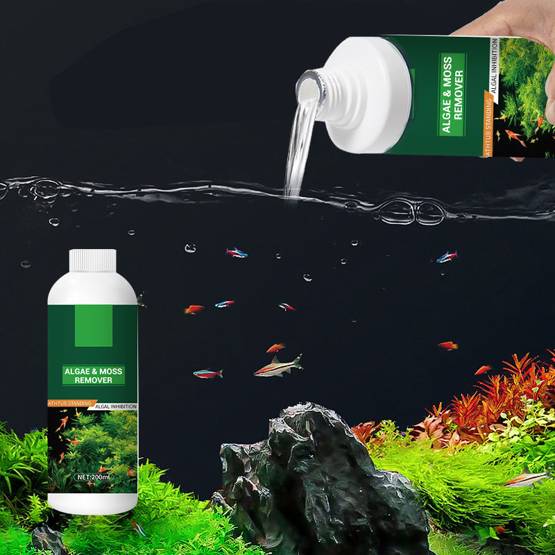 🎉Compra Más Ahorra Más💥 Removedor de algas y musgo para pecera - Purificación segura del agua.