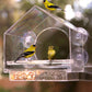 Comedero para Pájaros con Ventana de Acrílico Transparente