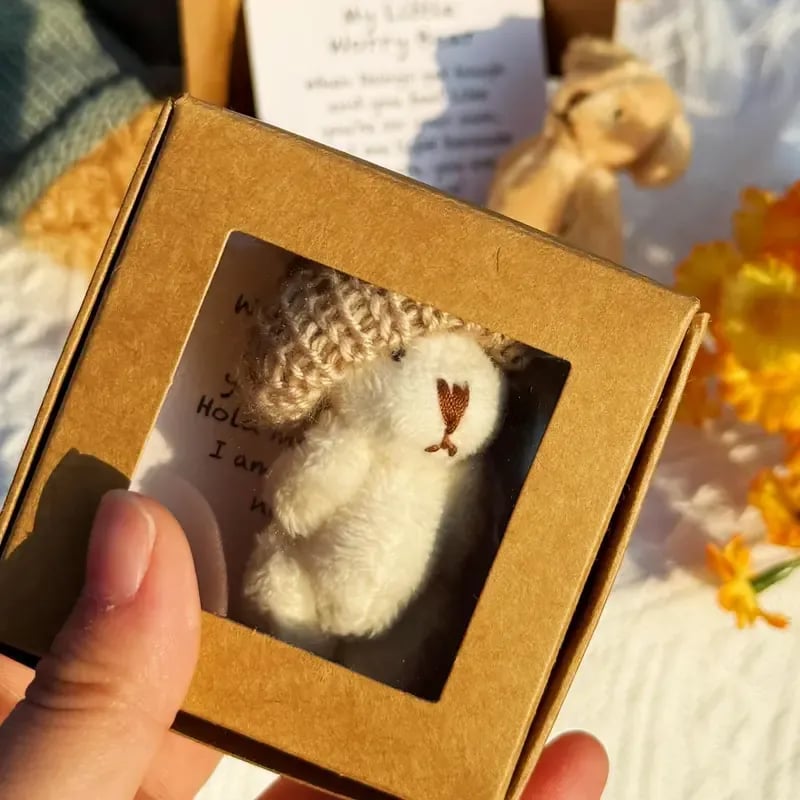 50% OFF💖Healing Doll Gift🎁Handmade Mini Plush Teddy Bear in Box