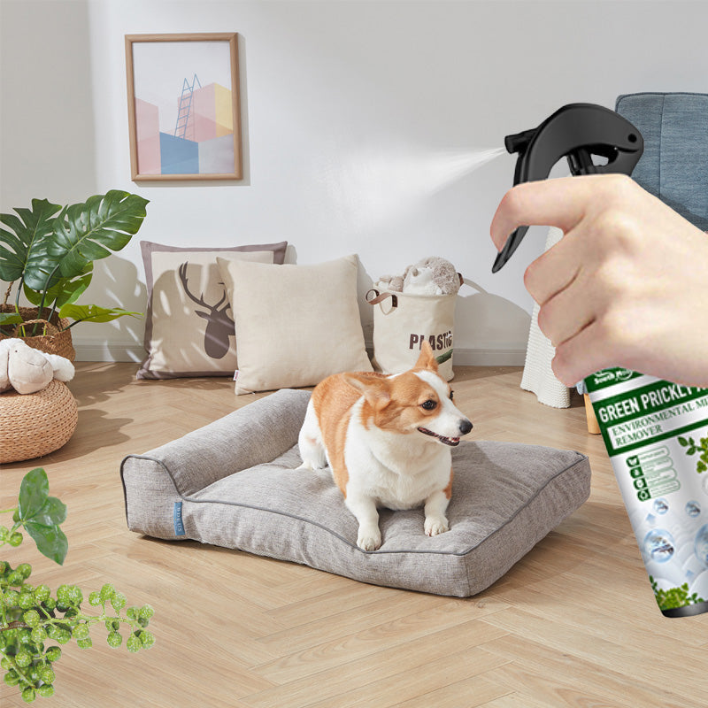 🔥 2025 Venta caliente🔥Potente spray antiácaros