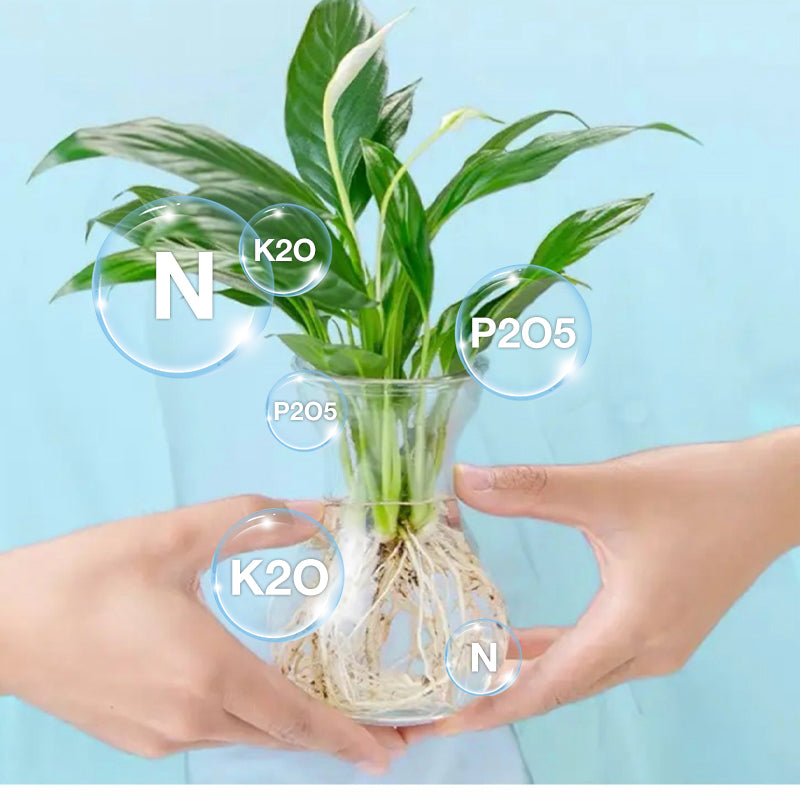Solución nutritiva hidropónica para el crecimiento de las plantas