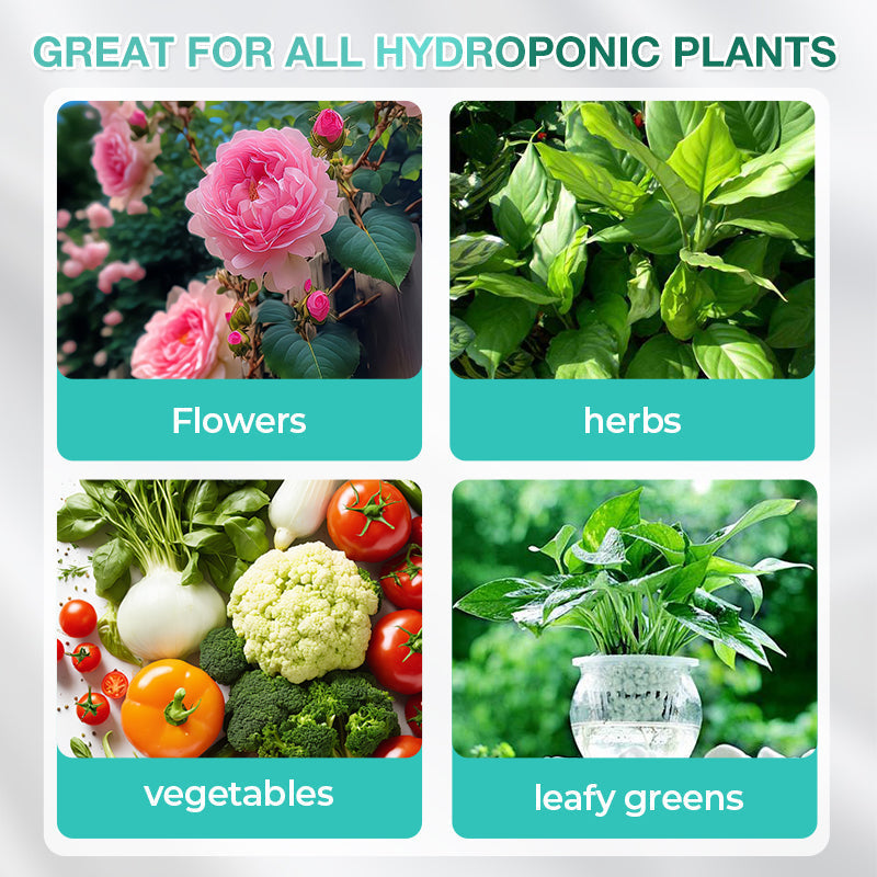 Solución nutritiva hidropónica para el crecimiento de las plantas