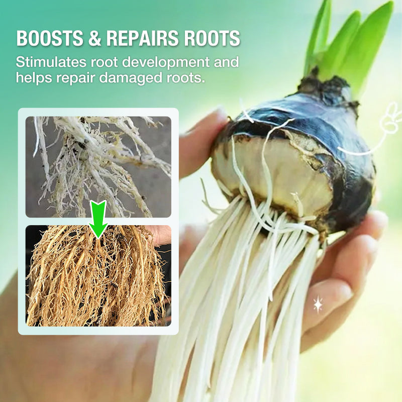 Solución nutritiva hidropónica para el crecimiento de las plantas