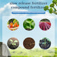 Tabletas de Fertilizante de Liberación Lenta Multiusos para Plantas