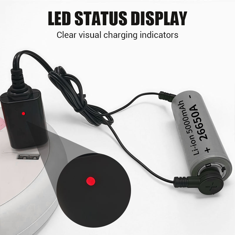 Cargador magnético de baterías para vehículos eléctricos