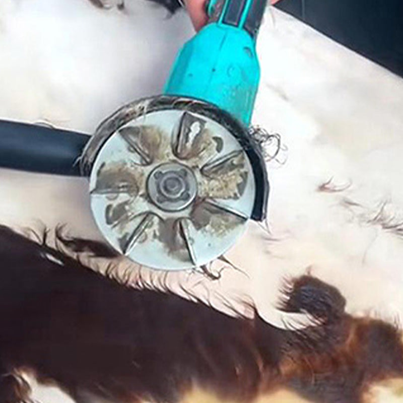 Disco raspador para eliminar el pelo de cerdo que ahorra esfuerzo
