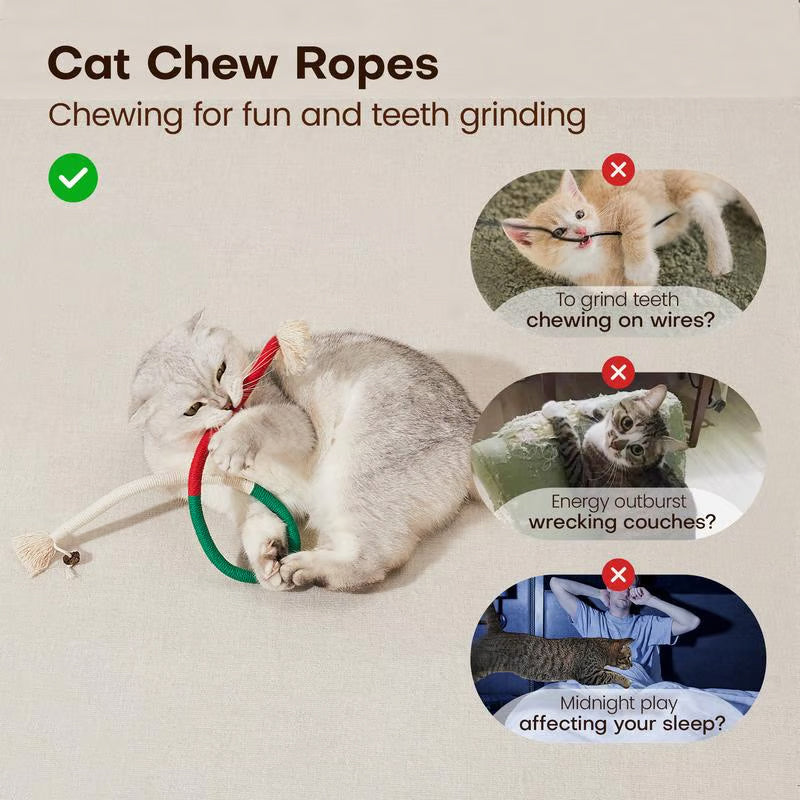 🔥ÚLTIMO DÍA 49% DE DESCUENTO😻Juguete de cuerda masticable: limpiador dental natural y seguro para gatos de interior.