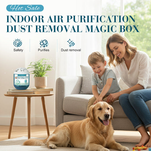 Caja mágica para eliminar el polvo y purificar el aire en interiores
