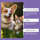 🐾Solución ocular suave para perros y gatos