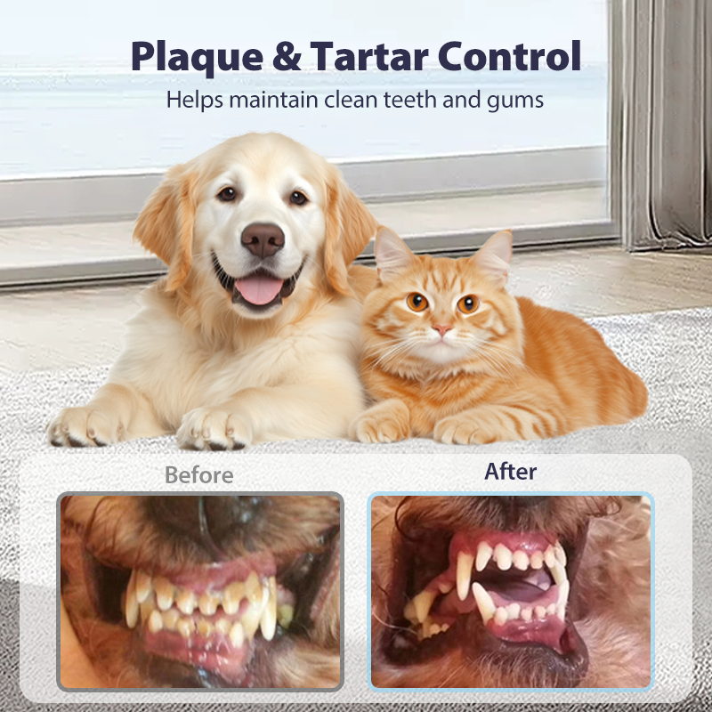 🔥¡Compre 1 y obtenga 1 gratis el último día! 🔥Spray para el cuidado dental de mascotas sin cepillo
