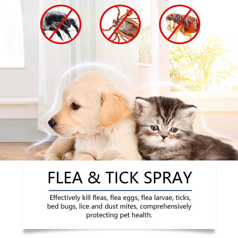 ⏰🔥 ¡50% DE DESCUENTO POR TIEMPO LIMITADO! 🐶🐱 Spray Natural Antipulgas y Garrapatas – Protege a tus Mascotas de Forma Segura y Efectiva 🌿✨